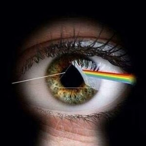 Meet your Posher, Greg